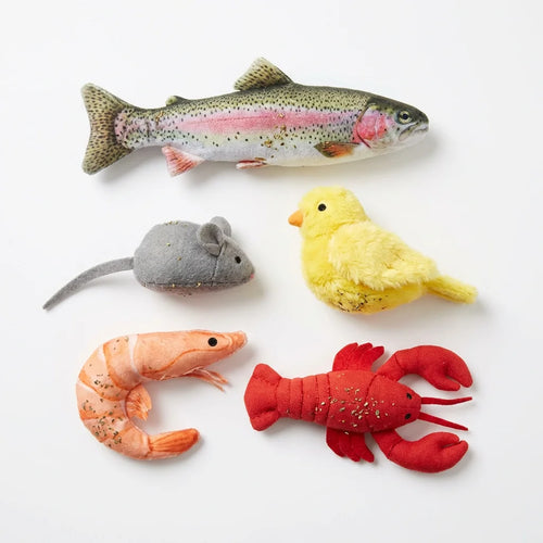 Pawstro 5-Pack Catnip Plush Toys - White Background